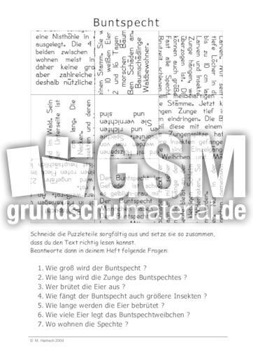 Buntspecht.pdf